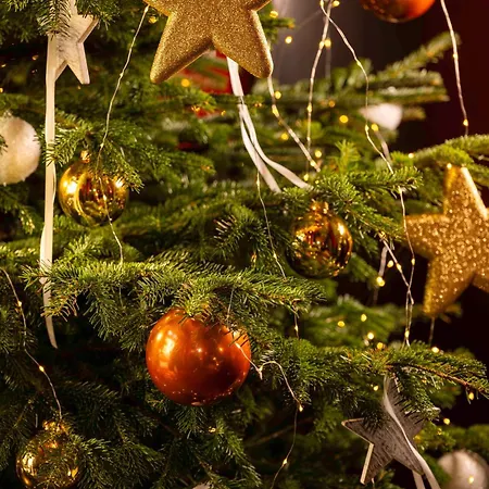 Hotel D - Estrasburgo