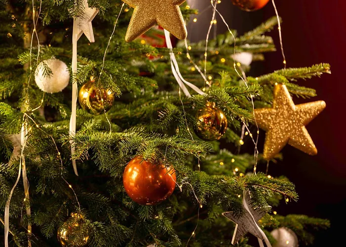 酒店 D - 斯特拉斯堡